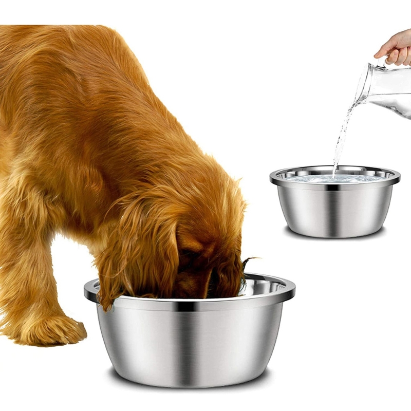 A Stainless Steel Dog Feeders  - Royal Canin Food Medium recension och pris